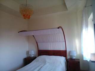 Отели типа «постель и завтрак» Karczma Biesiadna Dalnia Улучшенный двухместный номер с 1 кроватью или 2 отдельными кроватями-1